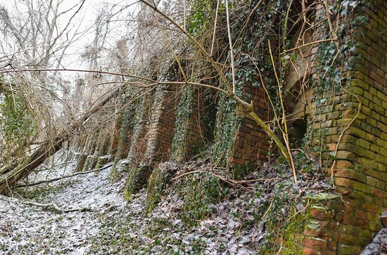 Sauener Wald-Rietz-Neuendorf必去景点
