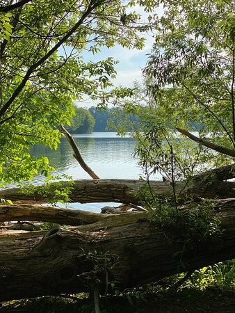 Oak Ridges Corridor Conservation Reserve Trail景点图片