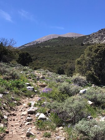 Baker Creek Loop Trail-Baker必去景点