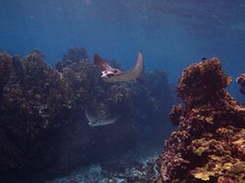 Caribe Extremo-圣安德烈斯必去景点