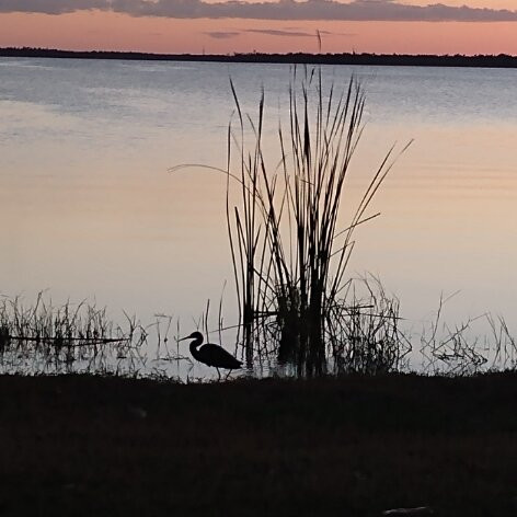 Lake Trafford-Immokalee必去景点