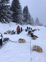L’Aventure en Traîneau-Vinzier必去景点