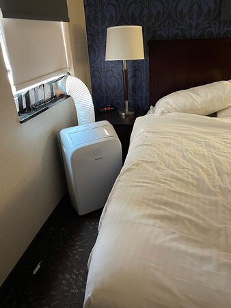 The Hotel By Gold Dust主图