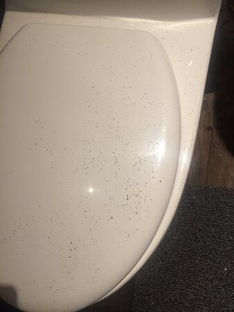 Zenti'k Project主图