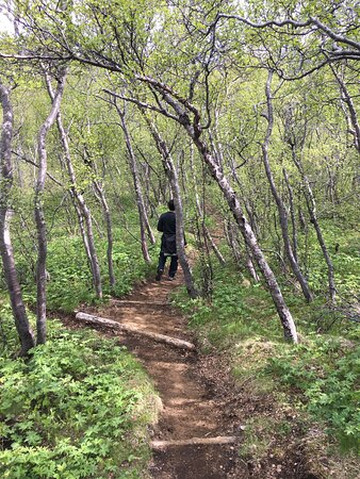 Thorsmork-雷克雅未克必去景点