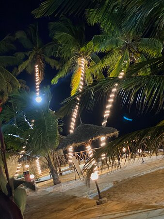 Sunny Palms Beach Bungalows主图