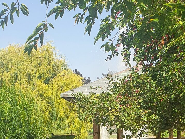 Parque de Yamaguchi-潘普洛纳必去景点