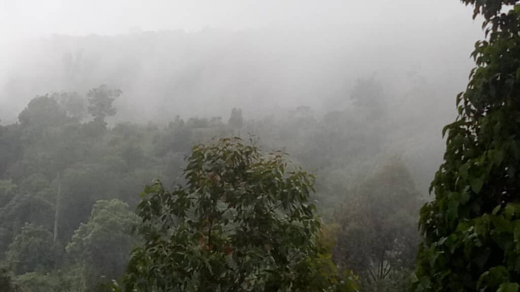 乞力马扎罗山景观旅馆主图