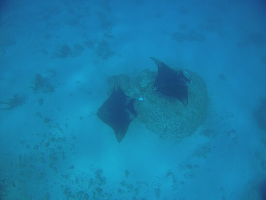 Pension Teheimana主图