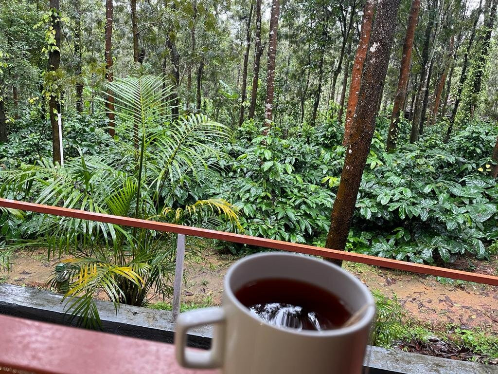 Nexstay Coffee Grove Resort主图