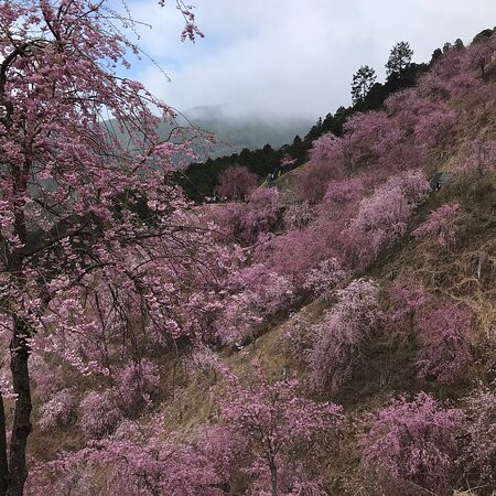 Takaminosato景点图片