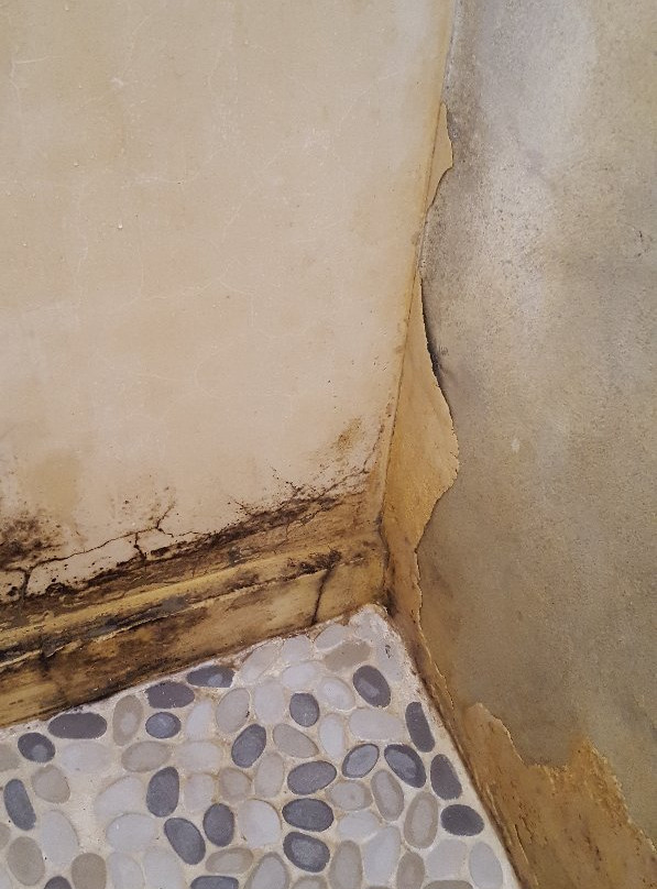 The Welgemoed Guesthouse主图