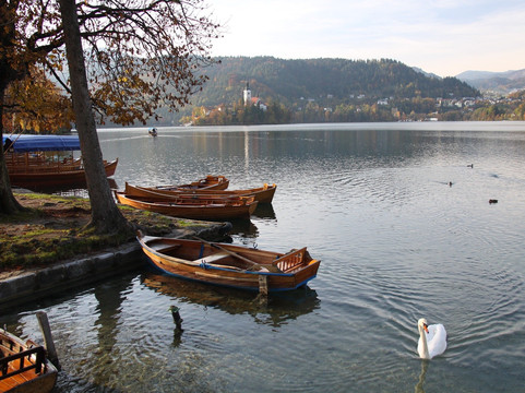 Signature Tours-Tivat Municipality必去景点