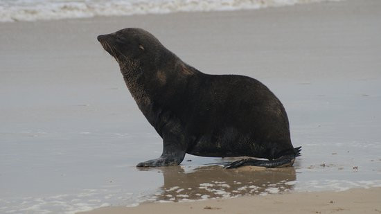 24 Houtboschbay Honeymoon Suite With a Jacuzzi主图