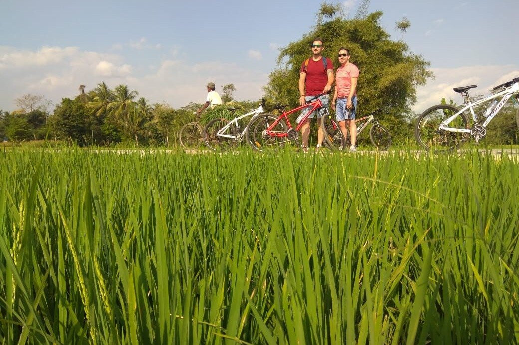 borobudurlocaltour景点图片