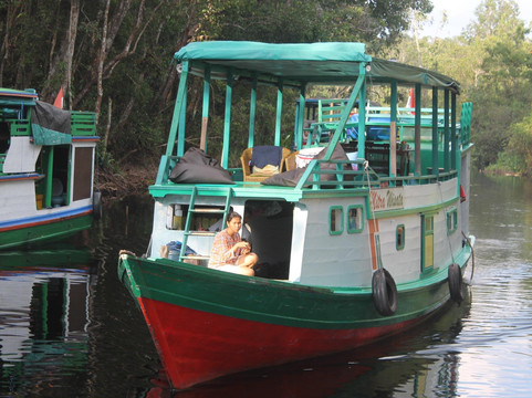 Bee Borneo Ecotourism Dayak Adventure-Pangkalan Bun必去景点