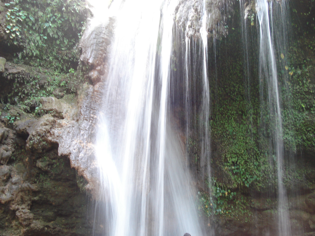 Jim Corbett National Park旅游攻略图片