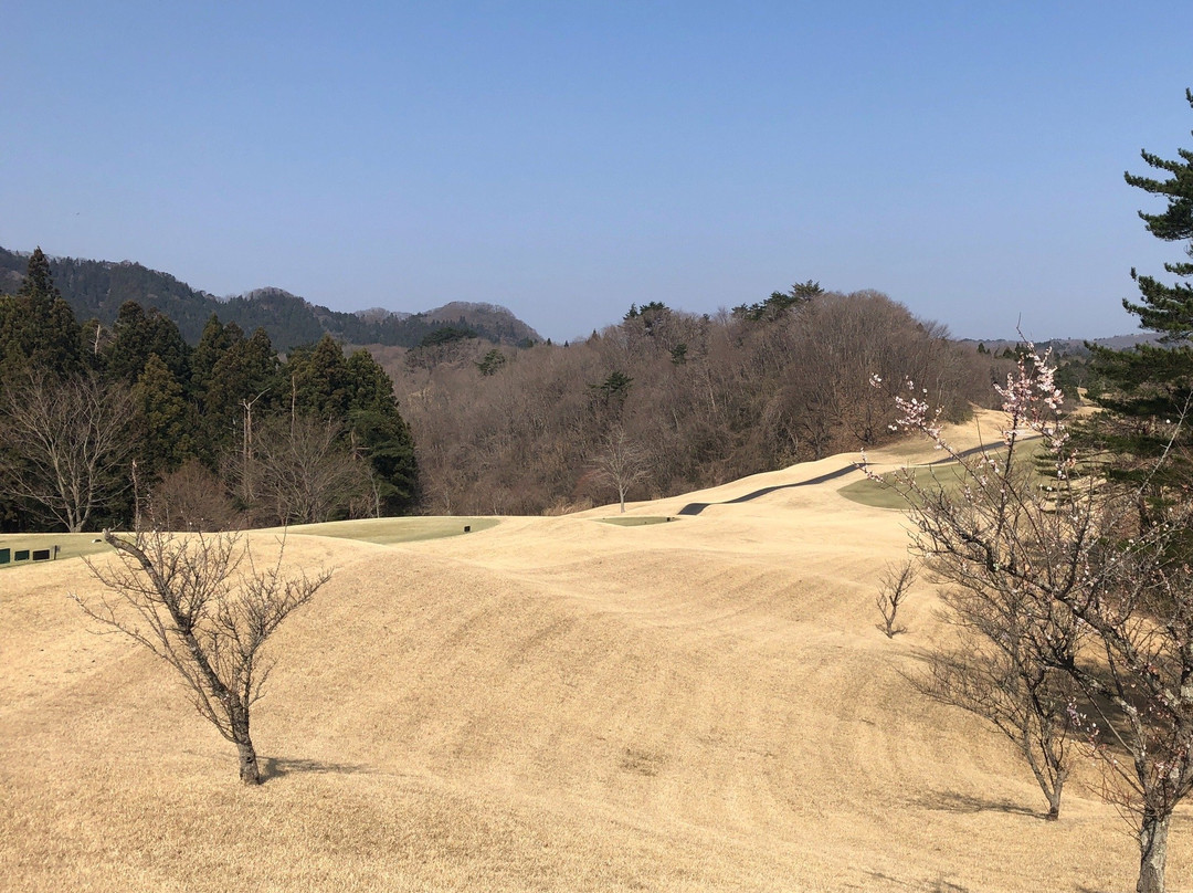 Hana no Mori Golf Club景点图片