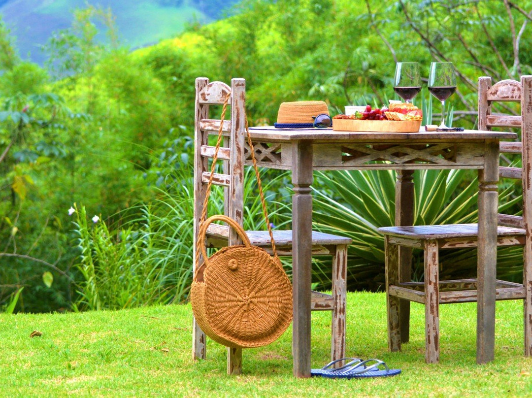 Sao Jose do Barreiro酒店住宿-Pousada Encanto da Bocaina