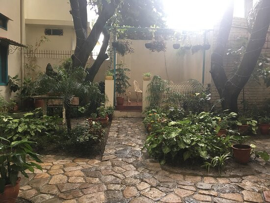 德拉敦芒果树庭院酒店主图