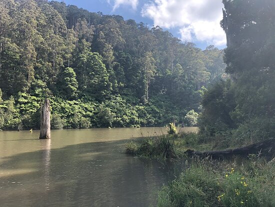 Lake Elizabeth-Forrest必去景点