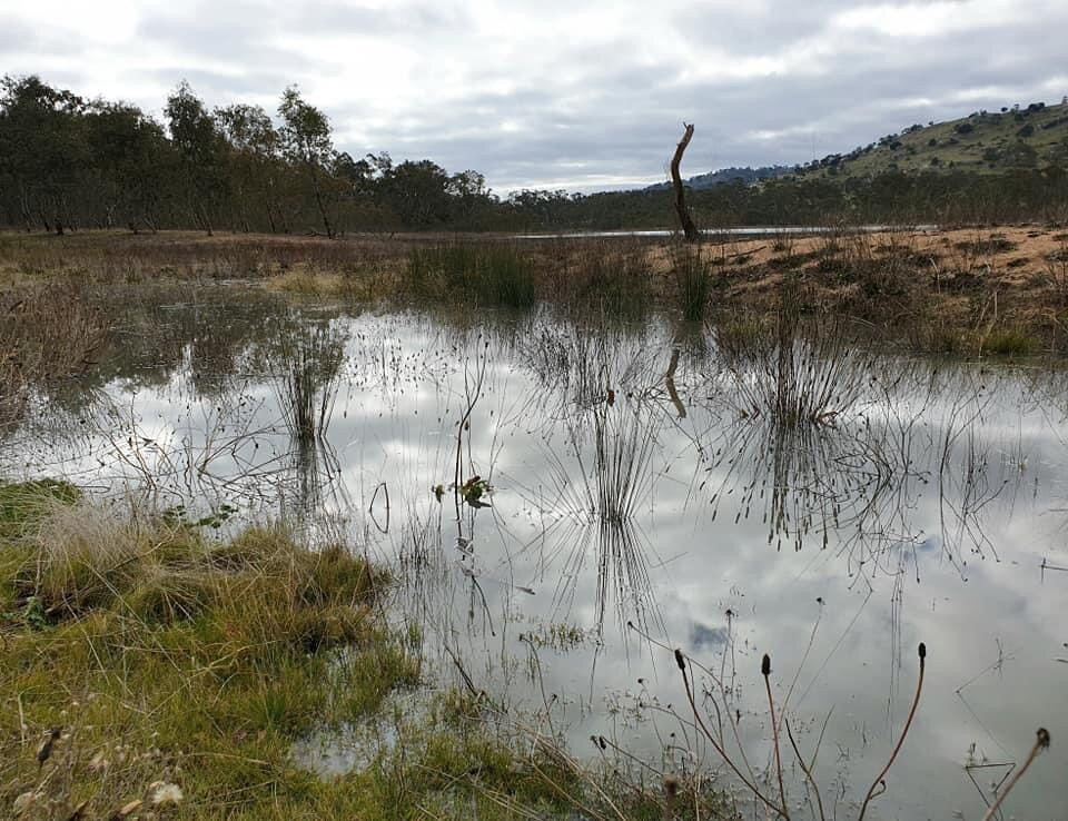 Barkers Creek Reservoir景点图片