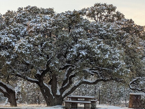 Davis Mountain Scenic Loop-Fort Davis必去景点