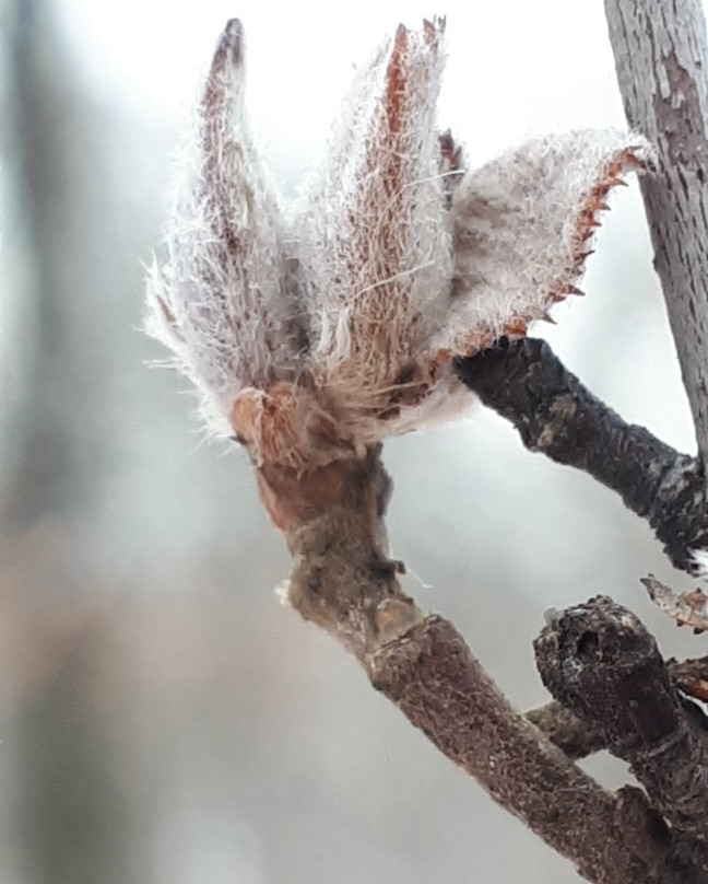 La Barriere Park-La Salle必去景点