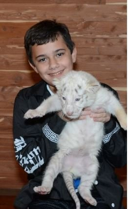 T.I.G.E.R.S. Preservation Station-美特尔海滩必去景点