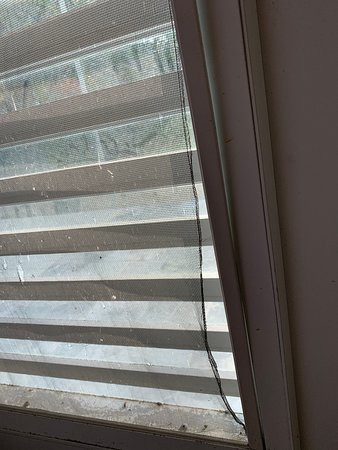Acacia Guesthouse主图