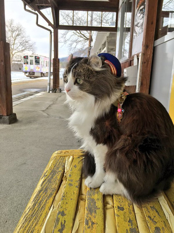 Ashinomaki Onsen Station