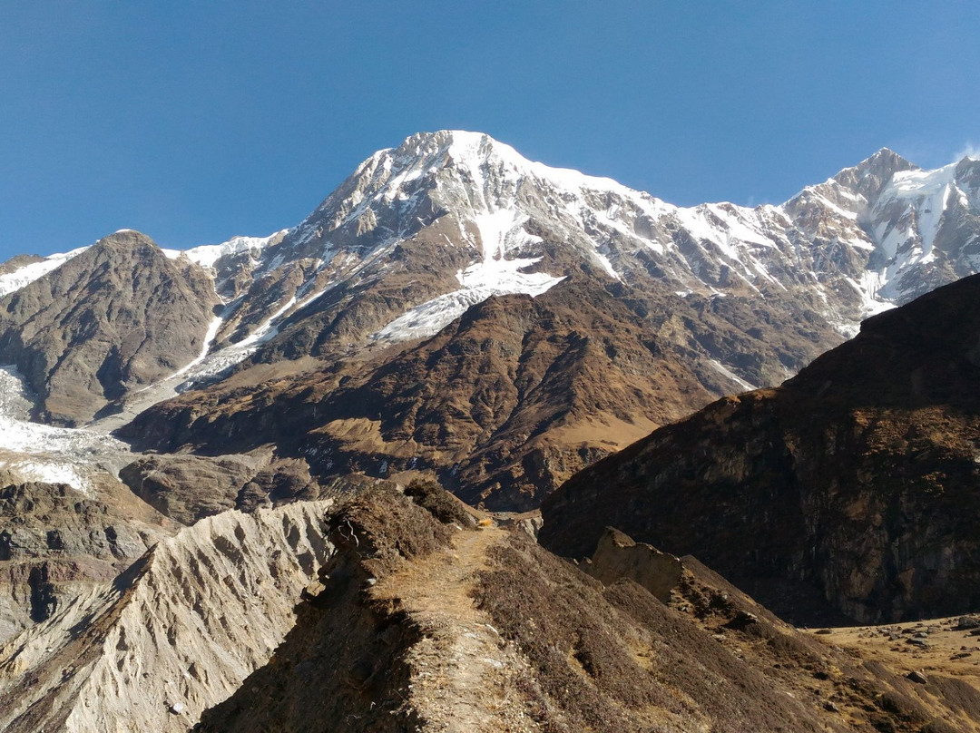 Pindari Glacier景点图片