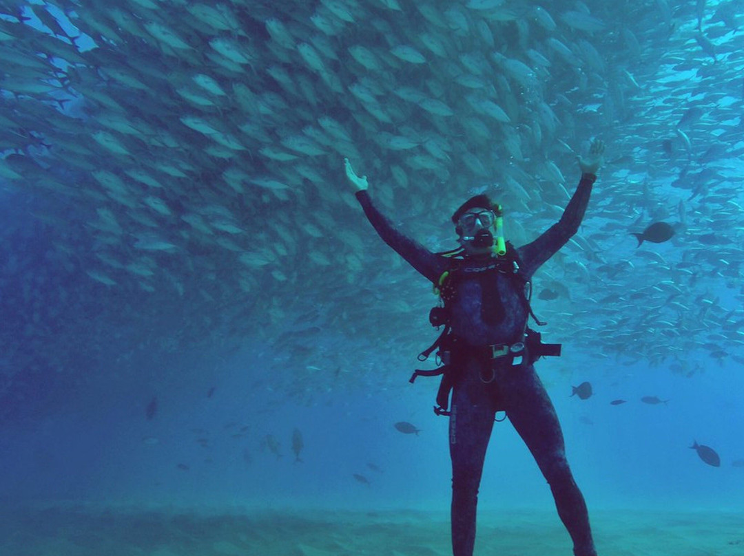 Cabo Pulmo Diving Station景点图片