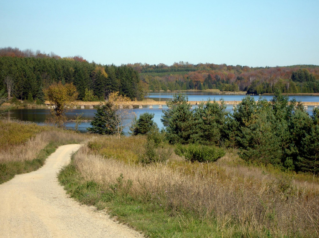 Island Lake Conservation Area景点图片