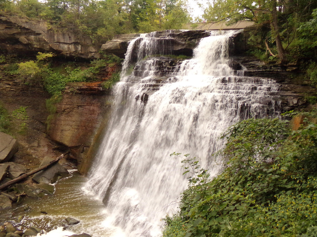 Sagamore Hills旅游攻略图片