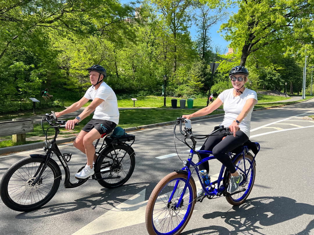 Pedego Electric Bikes Harlem-纽约市必去景点