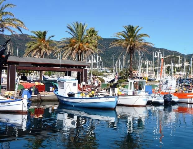 Cavalaire-Sur-Mer旅游景点-Port de Cavalaire