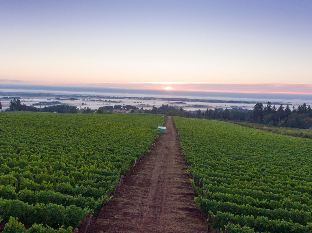 Amity旅游景点-Brooks Wine