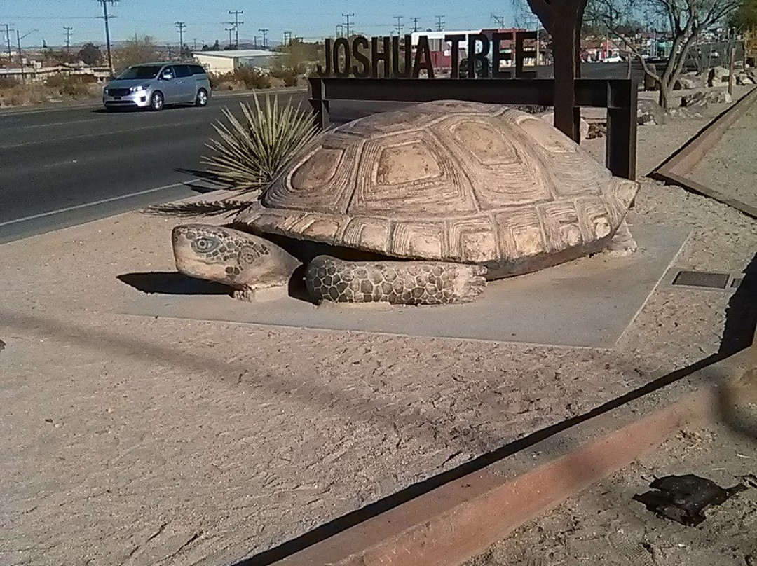 约书亚树旅游景点-Murtle the Turtle