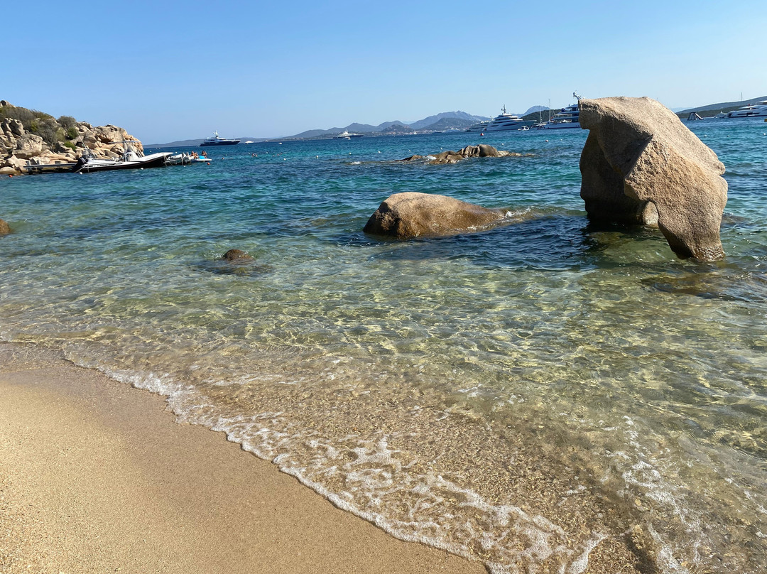 Elephant Beach