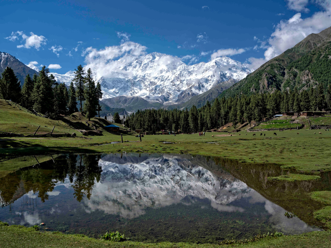 Chilas旅游景点-Fairy Meadows