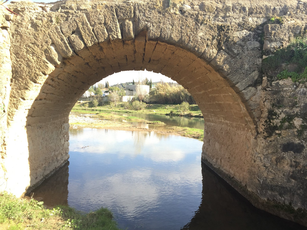 Ruta del Turon: Puente de Molina y Castillo de Turon景点图片