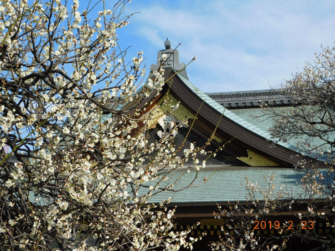 Yushima Tenjin Ume Blossom Matsuri景点图片