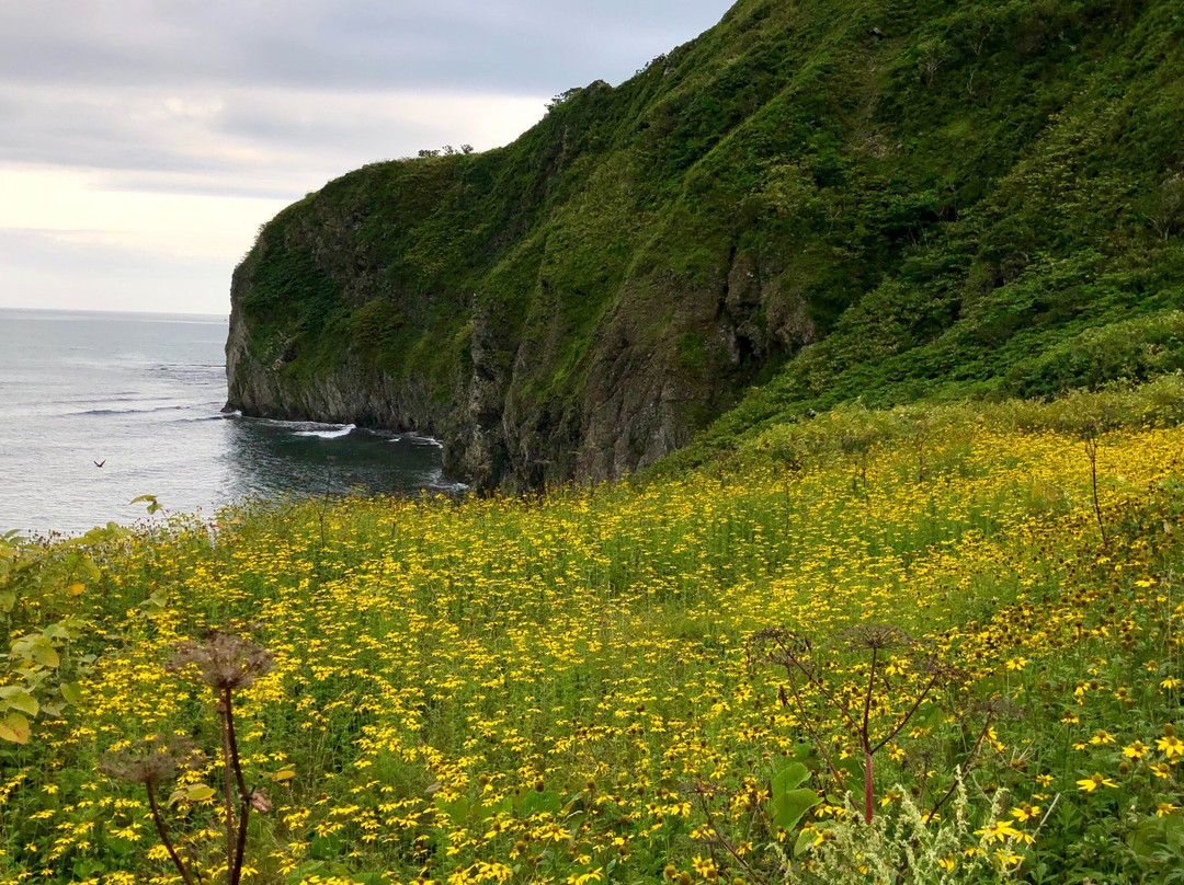 Enrumu Misaki Park Observatory-样似町必去景点