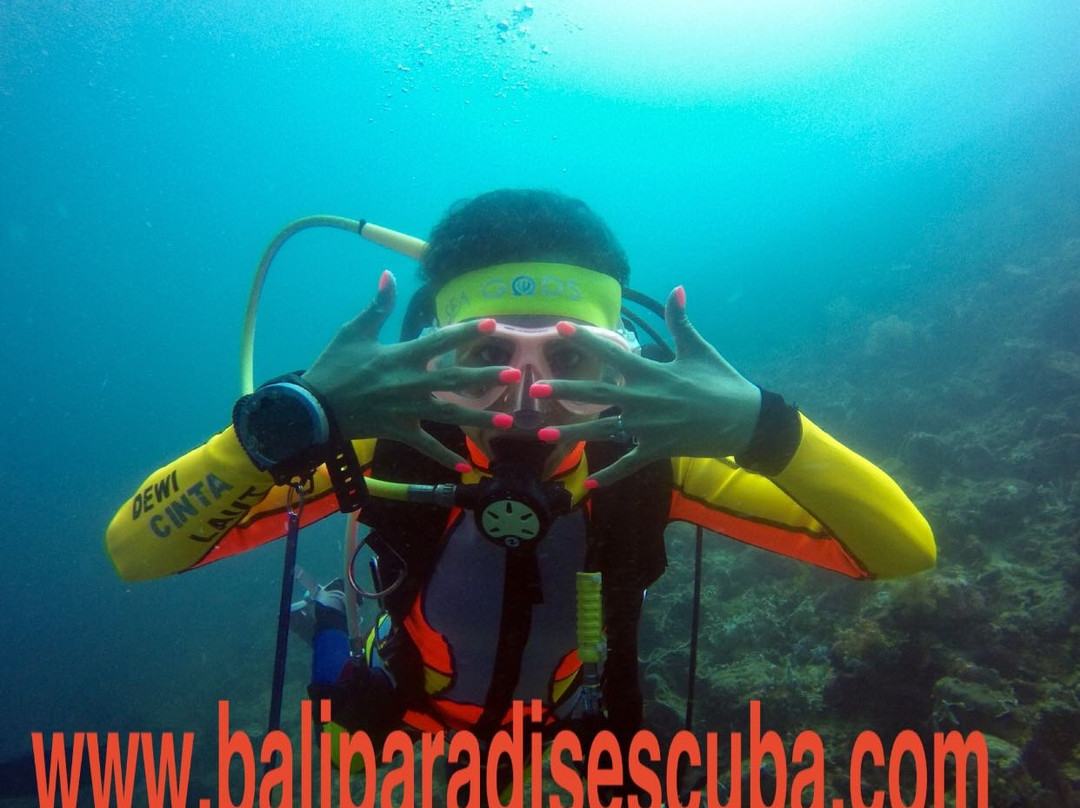 Bali Paradise Scuba-沙努尔必去景点