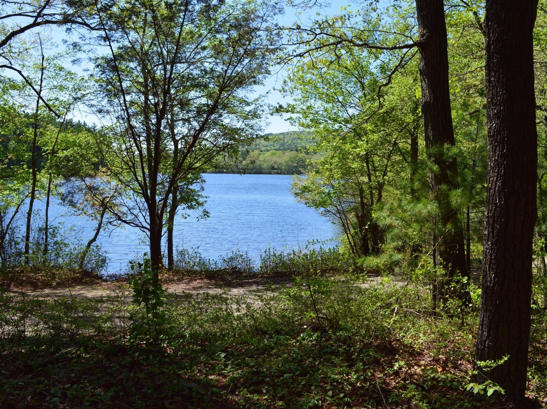 Houghton's Pond