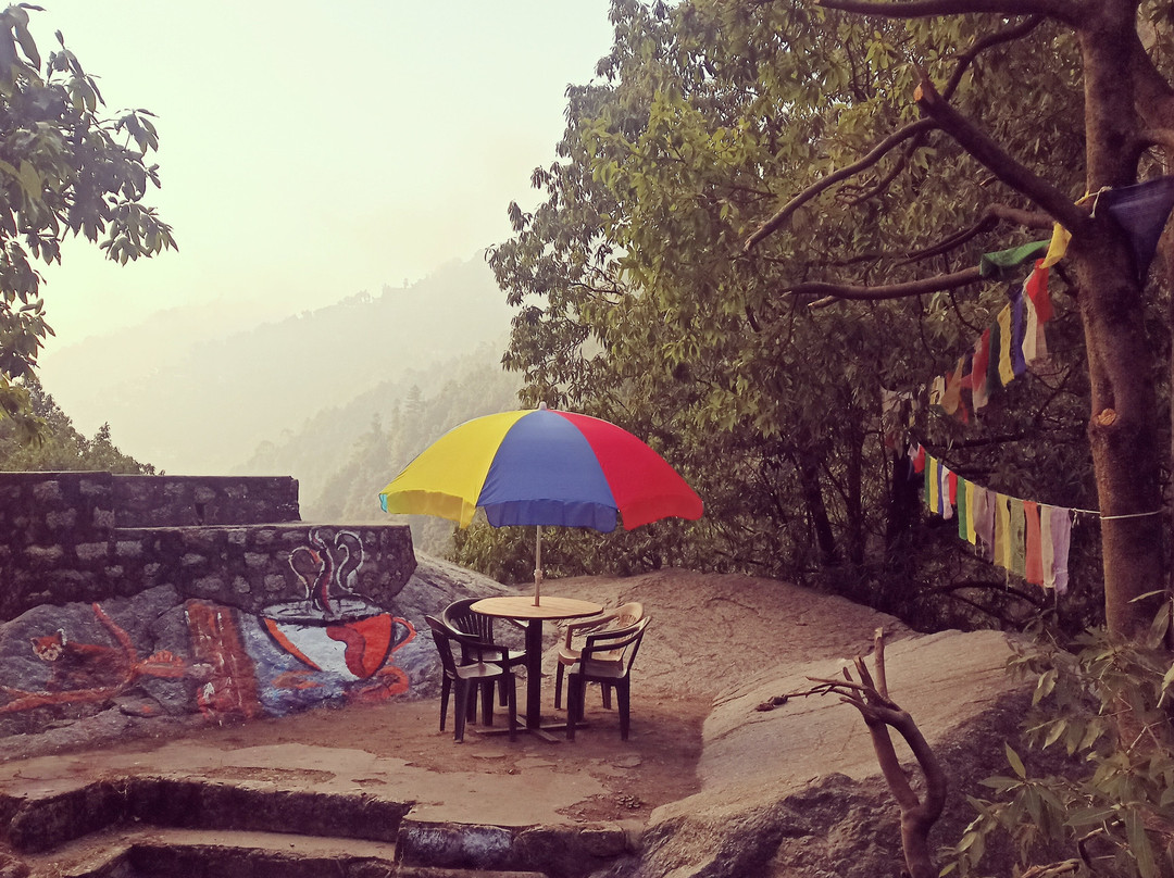 The hideout cafe and camp