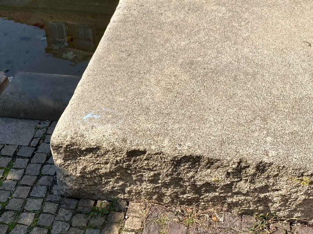 Stadtbrunnen景点图片