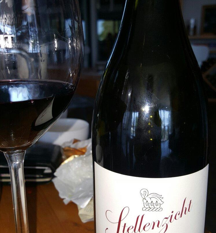 Stellenzicht-斯泰伦博斯必去景点