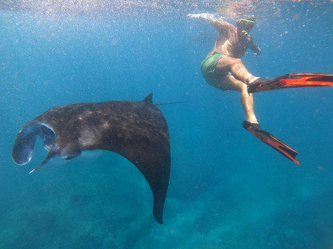 Snorkeling Nusa Penida-珀尼达岛必去景点